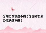 牙痛怎么快速不痛（牙齒疼怎么辦能快速不疼）