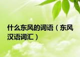 什么東風(fēng)的詞語（東風(fēng) 漢語詞匯）