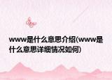 www是什么意思介紹(www是什么意思詳細情況如何)