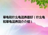 草龜和什么龜混養(yǎng)最好（什么龜和草龜混養(yǎng)簡(jiǎn)介介紹）