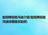 如何辨別地溝油介紹(如何辨別地溝油詳細情況如何)