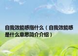 自我效能感指什么（自我效能感是什么意思簡介介紹）