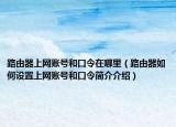 路由器上網(wǎng)賬號(hào)和口令在哪里（路由器如何設(shè)置上網(wǎng)賬號(hào)和口令簡(jiǎn)介介紹）