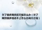 欠了很多網(wǎng)貸還不起怎么辦（欠了網(wǎng)貸很多錢還不上怎么辦簡(jiǎn)介介紹）