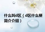 什么叫d區(qū)（d區(qū)什么梗簡(jiǎn)介介紹）