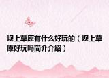 壩上草原有什么好玩的（壩上草原好玩嗎簡(jiǎn)介介紹）