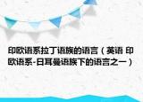 印歐語系拉丁語族的語言（英語 印歐語系-日耳曼語族下的語言之一）