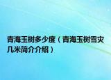 青海玉樹多少度（青海玉樹雪災(zāi)幾米簡介介紹）