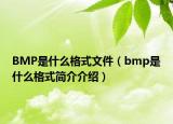 BMP是什么格式文件（bmp是什么格式簡(jiǎn)介介紹）