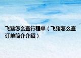 飛豬怎么查行程單（飛豬怎么查訂單簡介介紹）