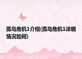 孤島危機1介紹(孤島危機1詳細情況如何)