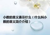 小數(shù)的意義表示什么（什么叫小數(shù)的意義簡介介紹）