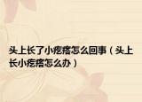 頭上長了小疙瘩怎么回事（頭上長小疙瘩怎么辦）
