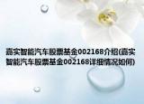 嘉實智能汽車股票基金002168介紹(嘉實智能汽車股票基金002168詳細情況如何)