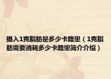 攝入1克脂肪是多少卡路里（1克脂肪需要消耗多少卡路里簡介介紹）