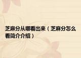 芝麻分從哪看出來(lái)（芝麻分怎么看簡(jiǎn)介介紹）