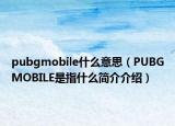 pubgmobile什么意思（PUBGMOBILE是指什么簡介介紹）