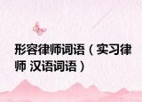 形容律師詞語（實習律師 漢語詞語）