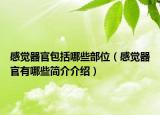 感覺器官包括哪些部位（感覺器官有哪些簡介介紹）