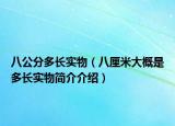 八公分多長實物（八厘米大概是多長實物簡介介紹）
