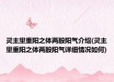 靈主里重陽之體兩股陽氣介紹(靈主里重陽之體兩股陽氣詳細(xì)情況如何)