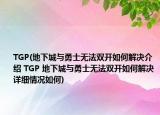 TGP(地下城與勇士無法雙開如何解決介紹 TGP 地下城與勇士無法雙開如何解決詳細(xì)情況如何)