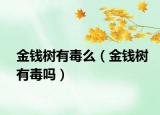金錢樹有毒么（金錢樹有毒嗎）