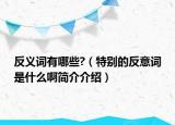 反義詞有哪些?（特別的反意詞是什么啊簡(jiǎn)介介紹）