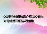 QQ寵物如何結(jié)婚介紹(QQ寵物如何結(jié)婚詳細情況如何)