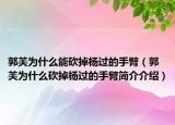 郭芙為什么能砍掉楊過的手臂（郭芙為什么砍掉楊過的手臂簡(jiǎn)介介紹）