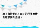 原子有種類嗎（原子的種類是什么意思簡介介紹）