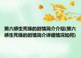 第六感生死緣的劇情簡介介紹(第六感生死緣的劇情簡介詳細情況如何)