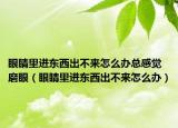 眼睛里進(jìn)東西出不來怎么辦總感覺磨眼（眼睛里進(jìn)東西出不來怎么辦）