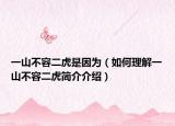 一山不容二虎是因?yàn)椋ㄈ绾卫斫庖簧讲蝗荻⒑?jiǎn)介介紹）