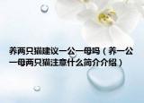 養(yǎng)兩只貓建議一公一母嗎（養(yǎng)一公一母兩只貓注意什么簡介介紹）