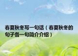 春夏秋冬寫一句話（春夏秋冬的句子各一句簡介介紹）