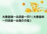大象是說一頭還是一只?（大象是叫一只還是一頭簡介介紹）
