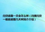 閃貸逾期一天會怎么樣（閃銀閃貸一般能逾期幾天啊簡介介紹）