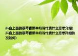 抖音上面的草莓香蕉牛奶污代表什么意思介紹(抖音上面的草莓香蕉牛奶污代表什么意思詳細(xì)情況如何)