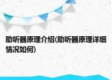 助聽器原理介紹(助聽器原理詳細情況如何)