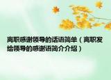 離職感謝領(lǐng)導(dǎo)的話語(yǔ)簡(jiǎn)單（離職發(fā)給領(lǐng)導(dǎo)的感謝語(yǔ)簡(jiǎn)介介紹）