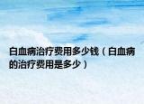 白血病治療費(fèi)用多少錢（白血病的治療費(fèi)用是多少）