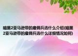 暗黑2亞馬遜帶的雇傭兵選什么介紹(暗黑2亞馬遜帶的雇傭兵選什么詳細情況如何)