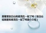 原著里張日山和梁灣在一起了嗎（張日山結局是和梁灣在一起了嗎簡介介紹）