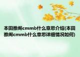 本田雅閣cmmb什么意思介紹(本田雅閣cmmb什么意思詳細情況如何)