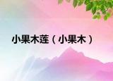 小果木蓮（小果木）