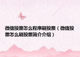 微信投票怎么程序刷投票（微信投票怎么刷投票簡(jiǎn)介介紹）