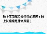 臉上不同部位長(zhǎng)痘痘的原因（臉上長(zhǎng)痘痘是什么原因）