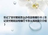 忘記了支付密碼怎么辦也沒有銀行卡（忘記支付密碼沒有銀行卡怎么找回簡介介紹）