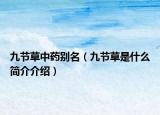 九節(jié)草中藥別名（九節(jié)草是什么簡(jiǎn)介介紹）